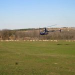 Heliwild Black Buck Capture
