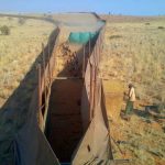 Blesbuck Capture Namibia.