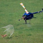 Reedbuck Capture South Africa.