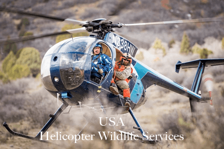 Helicopter Wildlife Services USA